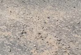 Pregos espalhados em rua de Arapiraca colocam motoristas em risco