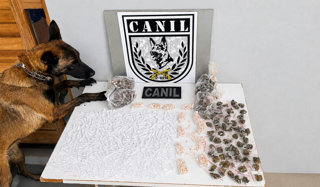 Durante treinamento, cadela do Canil encontra grande quantidade de drogas escondidas em mata de Arapiraca