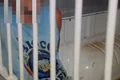 5ª Companhia Prende Homem Após Agressão Contra Pedreiro Por Cobrança De Salário