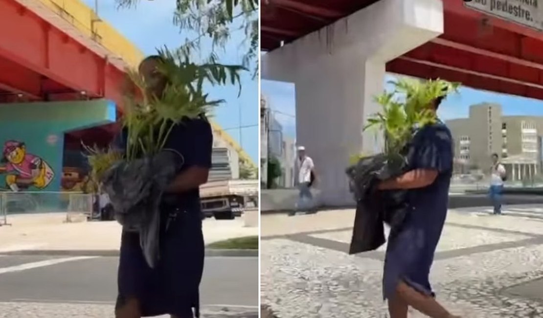 Um crime (in)perdoável: como um suposto furto de muda transformou a vida de maceioense