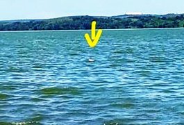 Corpo é encontrando boiando na Lagoa Manguaba, em Pilar