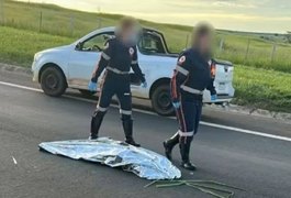 Mulher atropelada e dada como morta por engano recebe alta da UTI