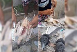 Carne de urubu é vendida como se fosse galinha caipira em feira