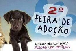 Grupo de amigas realiza 2ª feira de adoção de animais em Arapiraca