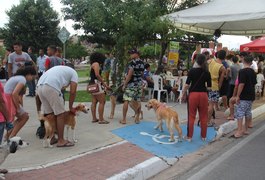 #Vem Pro Bosque deste domingo tem edição especial para pets