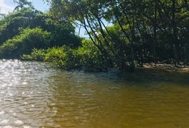 Pesquisa confirma contaminação por esgoto no Riacho da Garça, em Maceió