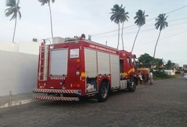 Moradores são orientados a deixar casas após queda de árvore centenária