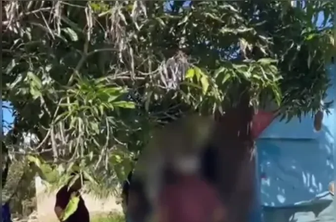 Homem é preso suspeito de adotar cadelas para manter relações sexuais no interior alagoano