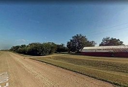 Cachorro pisa em arma, atira e mata seu próprio dono dentro de carro