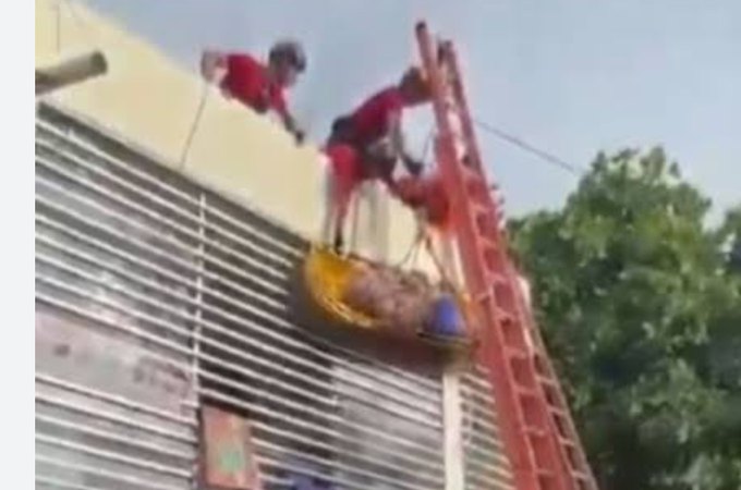 Vídeo. Bombeiros derrubam corpo de idoso durante resgate