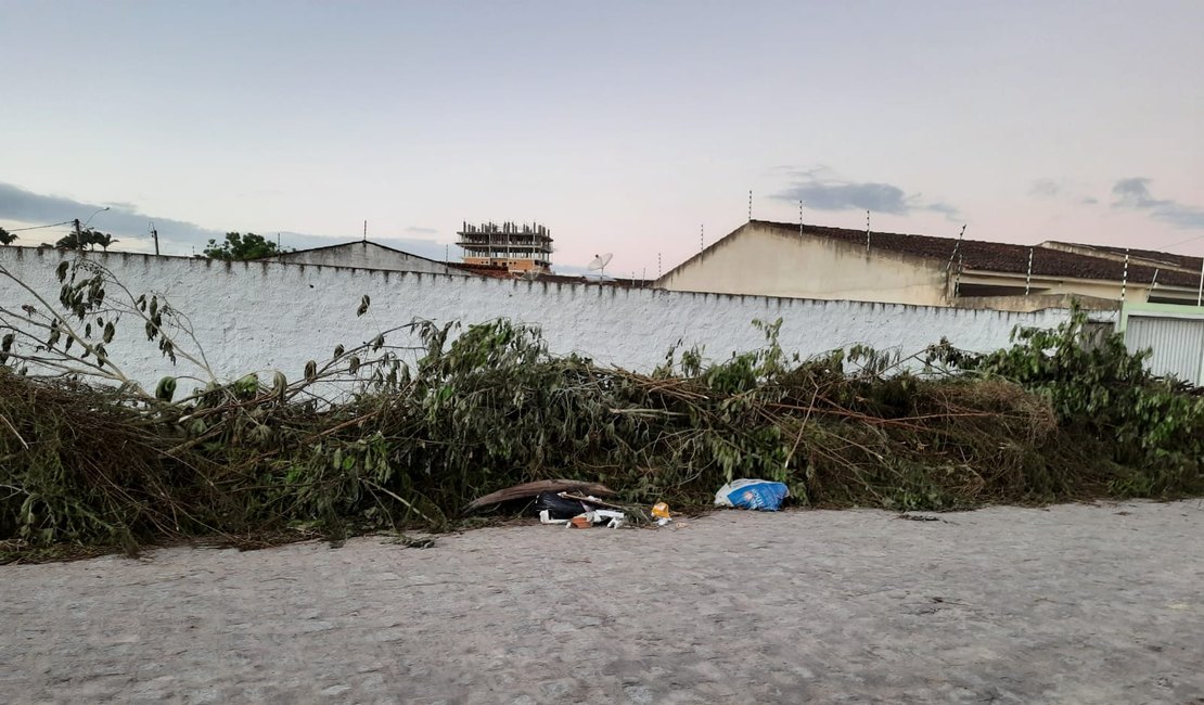 Moradora do bairro Itapoã faz denúncia sobre o acúmulo de lixo e mato em rua