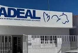 Publicada lista provisória de solicitação de isenção de taxa para o concurso da Adeal