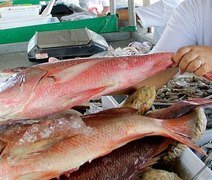 Até o momento, não há risco de consumo de frutos do mar, diz ministro