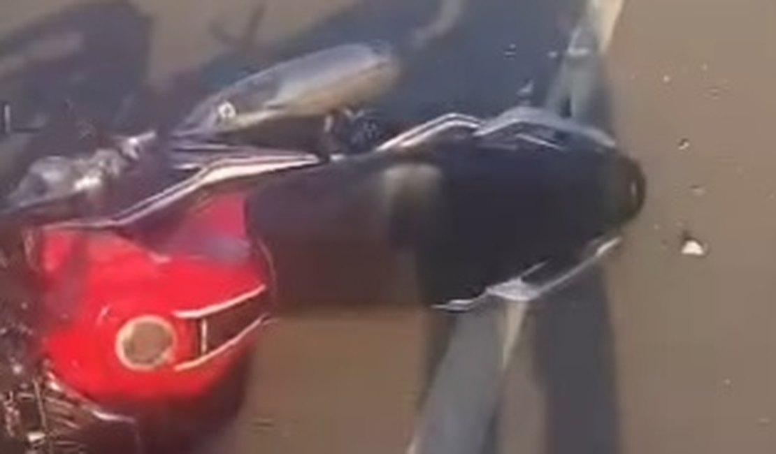 Motociclista morre após acidente na AL-220, entre Craíbas e Arapiraca