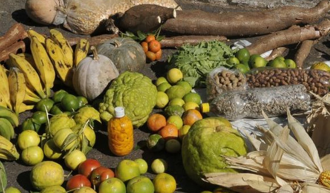 Governo destina R$ 21 bilhões para financiar a agricultura familiar