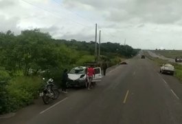 Veja o vídeo: Carro atinge cavalo solto na pista em Girau do Ponciano