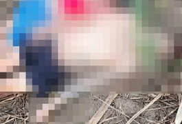 Corpos de homem e mulher mortos a tiros são encontrados em canavial em Novo Lino