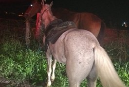 A cavalo e com simulacro, adolescentes são apreendidos suspeitos de assalto, em Arapiraca