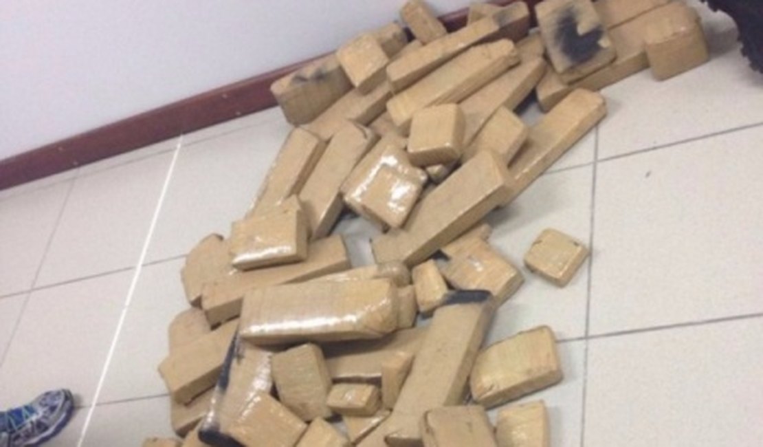 Operação integrada prende suspeito com 55 quilos de maconha na BR-101