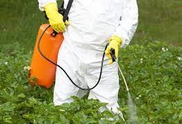 Alagoas é o Estado brasileiro que mais consome agroquímicos, aponta estudo