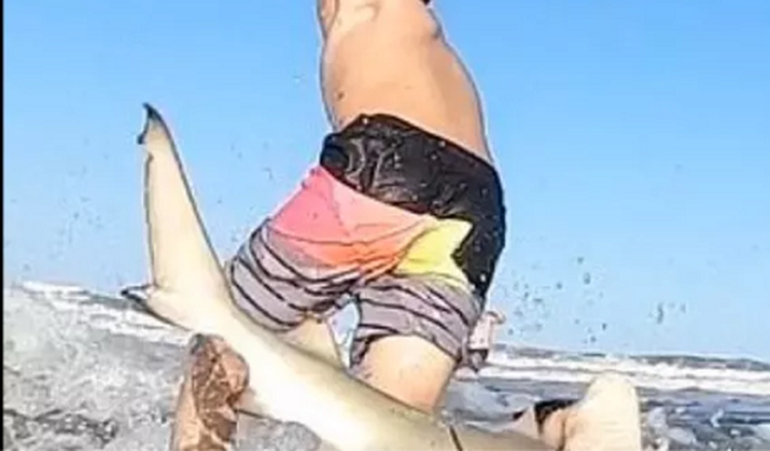 Tubarão avança em criança durante surf na Flórida