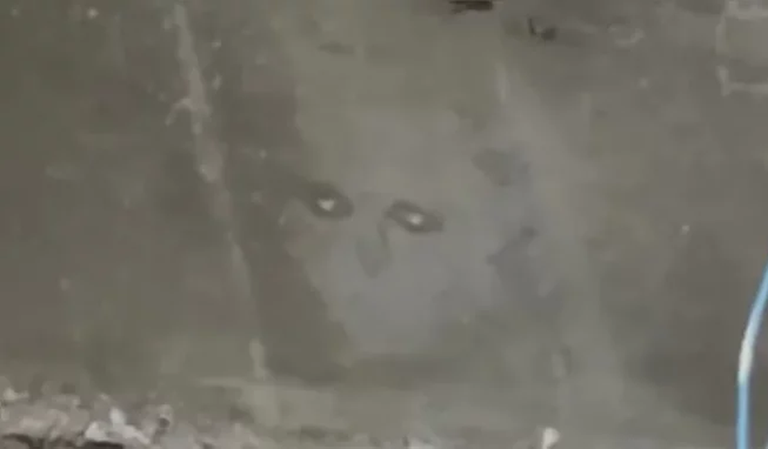 Chef encontra rosto “demoníaco” em reforma de casa