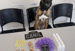 Ação do 3° BPM resulta em prisão de homem por tráfico de drogas e resgate de criança em situação de risco, em Arapiraca