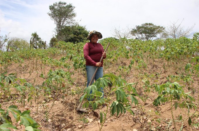 Mais de 20 mil agricultores alagoanos vão receber Garantia-Safra neste mês de março