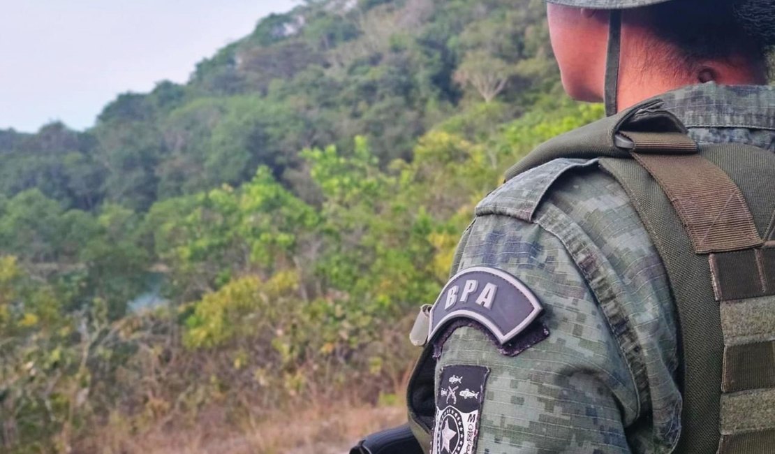 Operação da PM apreende 60 aves silvestres em feiras livres de Maceió e Rio Largo