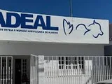 Publicada lista provisória de solicitação de isenção de taxa para o concurso da Adeal