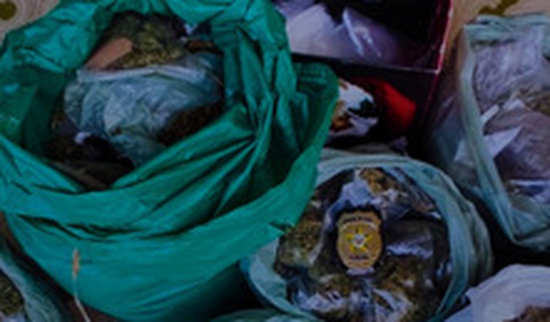 Polícia Civil apreende 14kg de maconha e prende três pessoas em flagrante no bairro Cavaco