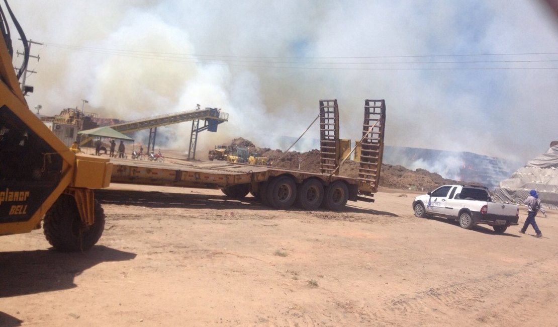 Incêndio volta a atingir estoque da GranBio em São Miguel dos Campos
