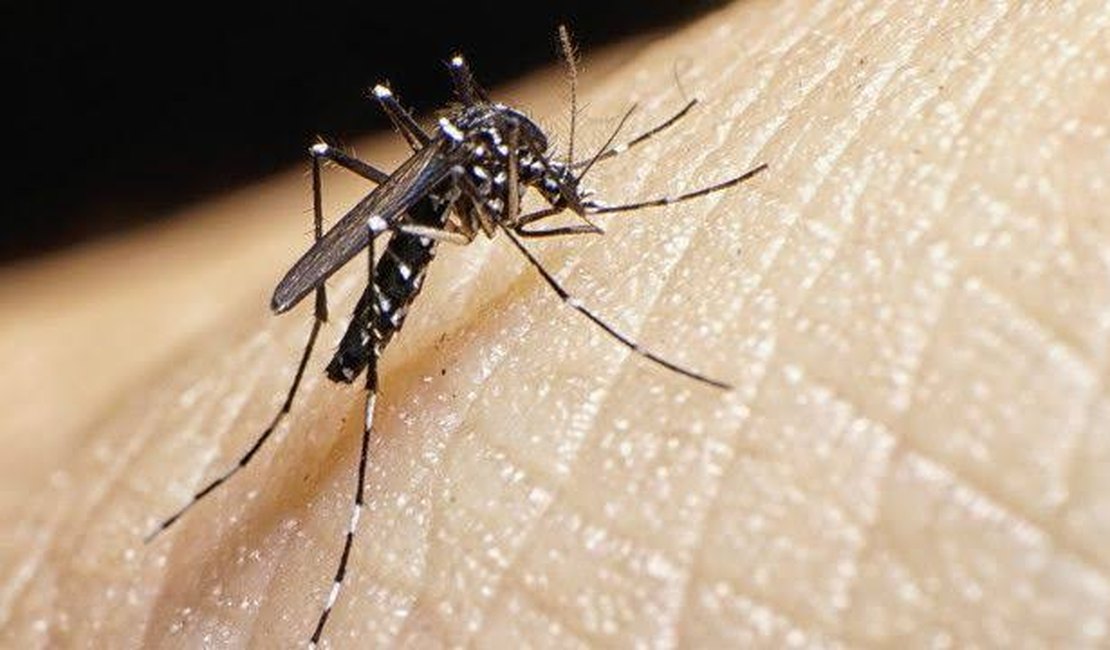 Pesquisadores questionam surto de microcefalia no Brasil por causa do Zika vírus