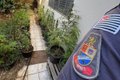 Policiais visitam casa para alugá-la e encontram plantação de maconha no imóvel