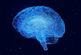 Ciência recupera atividade em cérebro congelado pela 1ª vez