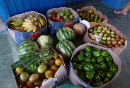 Penedo amplia para R$ 1,5 mi a compra de alimentos da agricultura familiar para escolas