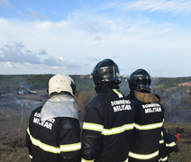 Ocorrências de incêndio em vegetação atendidas pelo CBMAL caem 4% em 2024