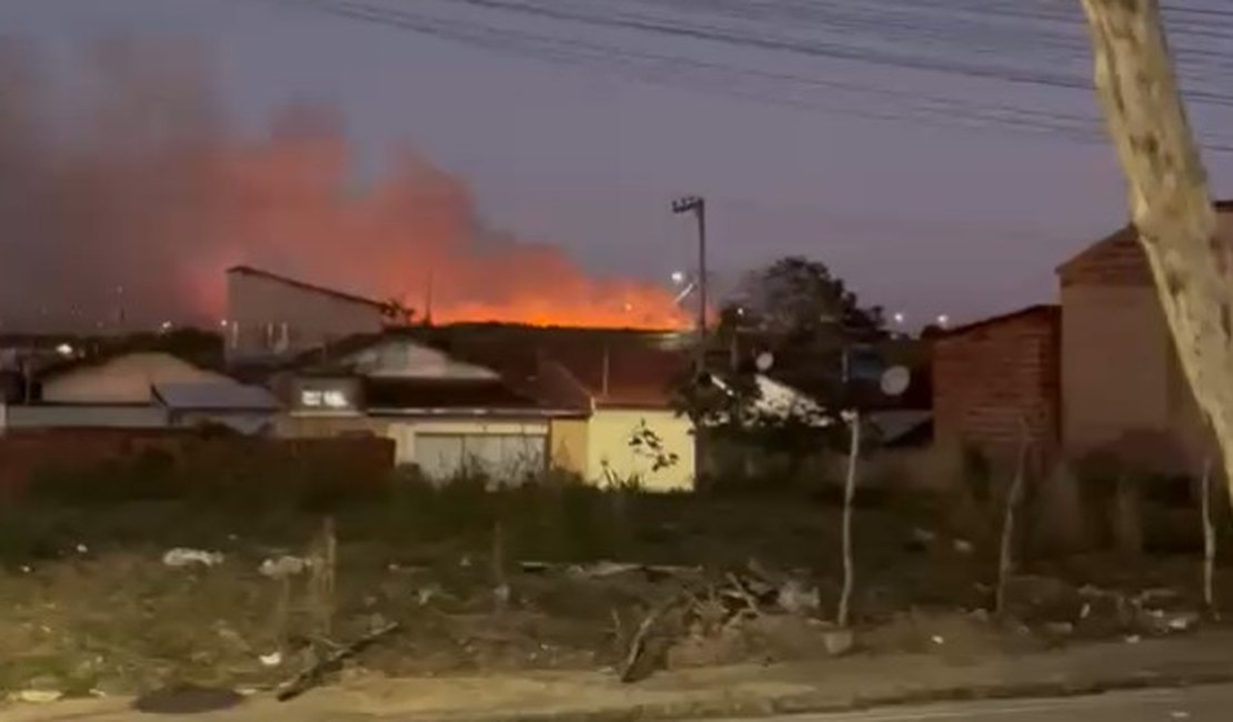 Incêndio em vegetação assusta moradores e deixa cavalo ferido, em Arapiraca