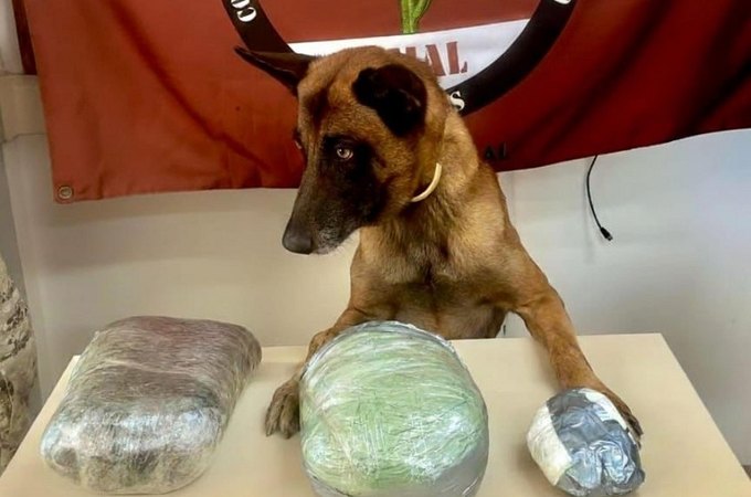 PM apreende drogas e arma de fogo em ações em Jaramataia e Colônia Leopoldina