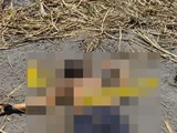 Após ser retirado de casa, homem é encontrado morto em canavial na parte alta de Maceió