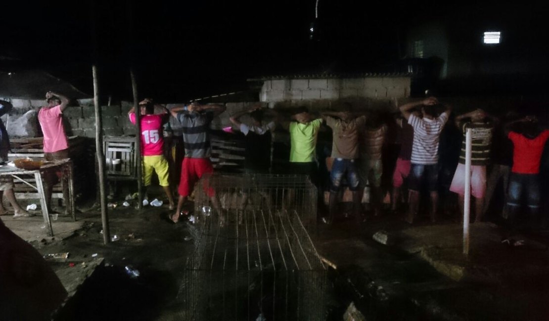 PM desarticula casa de rinha em Anadia e proprietário é detido