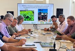 Seagri busca parcerias para melhorar qualidade genética da mandioca em Alagoas