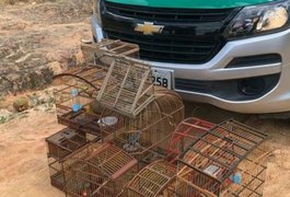Homem é preso e 13 animais silvestres são apreendidos durante operação no interior de Alagoas