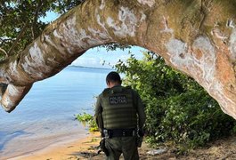 Em seis dias, operação policial apreendeu 15 armas de fogo e resgataram mais de 650 animais, em Alagoas