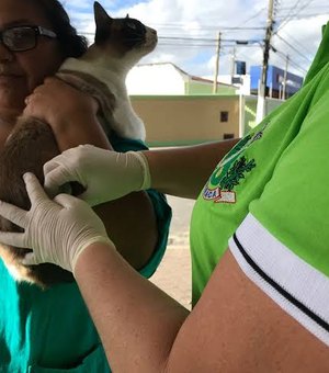 Dia D de vacinação antirrábica acontece neste sábado (20) em mais de 70 pontos de Arapiraca