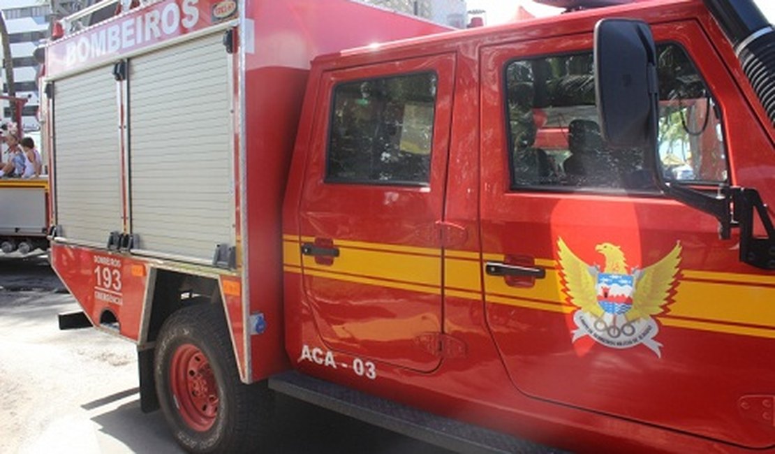 Carro pega fogo em trecho da AL-220, em Limoeiro de Anadia