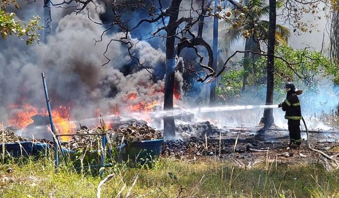 Incêndio em vegetação assusta moradores do Antares e da Serraria, em Maceió