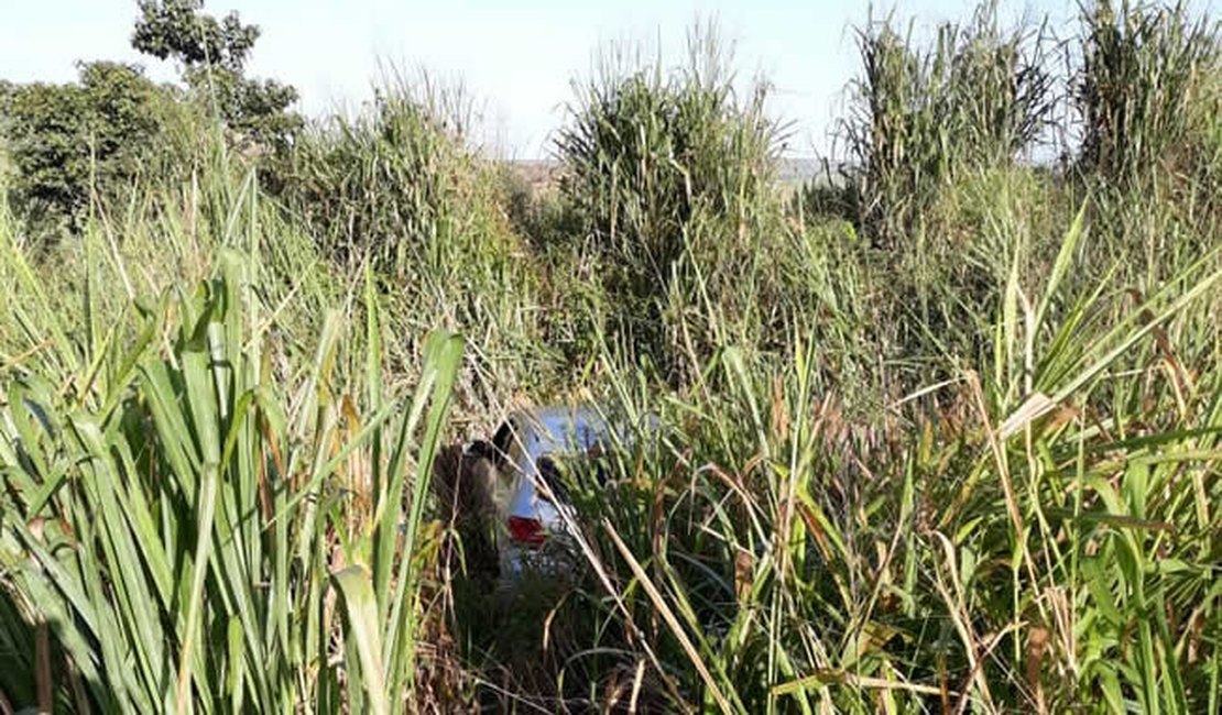 Motorista joga carro em ribanceira para escapar de colisão na BR-101, em São Miguel dos Campos