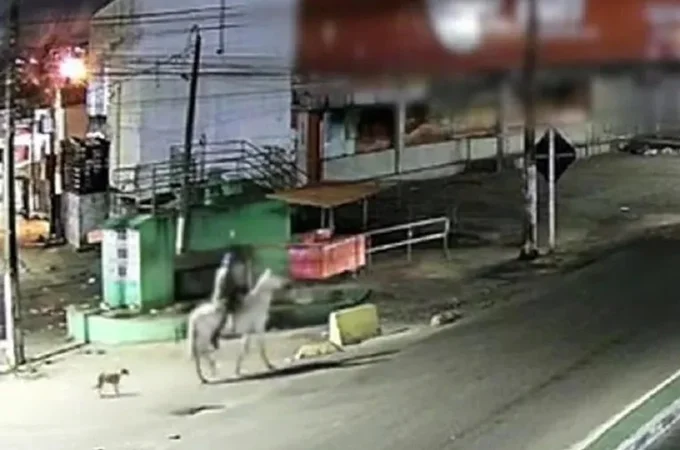Homem é preso em Pernambuco após ser filmado com mulher morta em cavalo