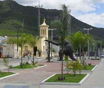 Criança de 9 anos morre após ter cabeça esmagada por caminhão